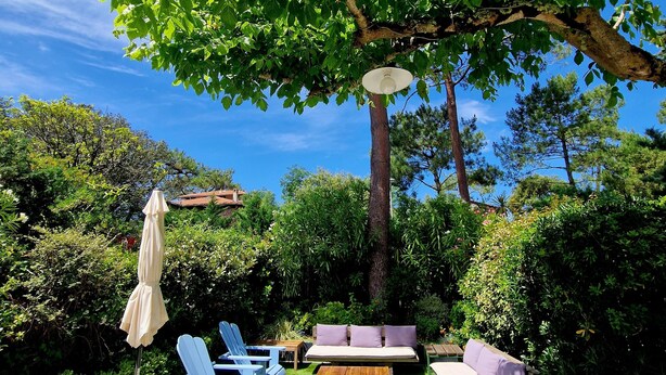 An outdoor seating area with a wooden table, chairs, and a bench under a tree.