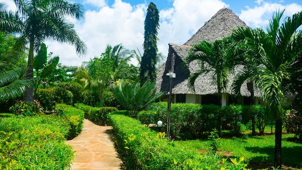 A pathway leading to a thatched-roof building surrounded by lush greenery and palm trees.