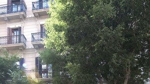 Un edificio de varios pisos, con entrada principal en la planta baja, puertas de vidrio y el letrero visible de 'CAISA'.