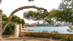 A coastal view with a beach, a stone wall, and a tree forming a natural arch. - Wonderful Villa, private pool, seafront, garden, excellent views to the bay (Playa Albufereta- Alicante)