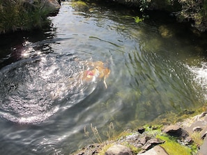 Unclassified image, 2 of 16, button