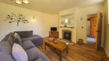 Smart TV, fireplace, books, streaming services
