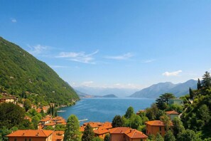 Unclassified image, 3 of 13, button