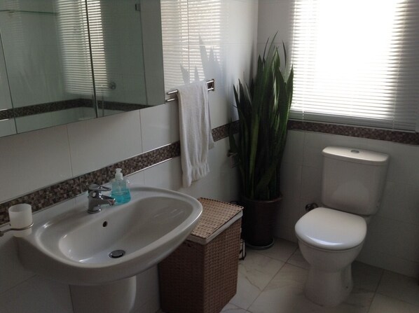 Une salle de bain avec un lavabo, des toilettes et une plante en pot.
