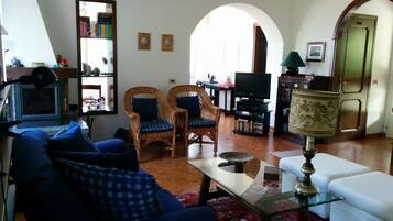 TV, fireplace, ping pong, books