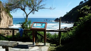 A coastal viewpoint with a wooden information board, stone steps, and a bench.