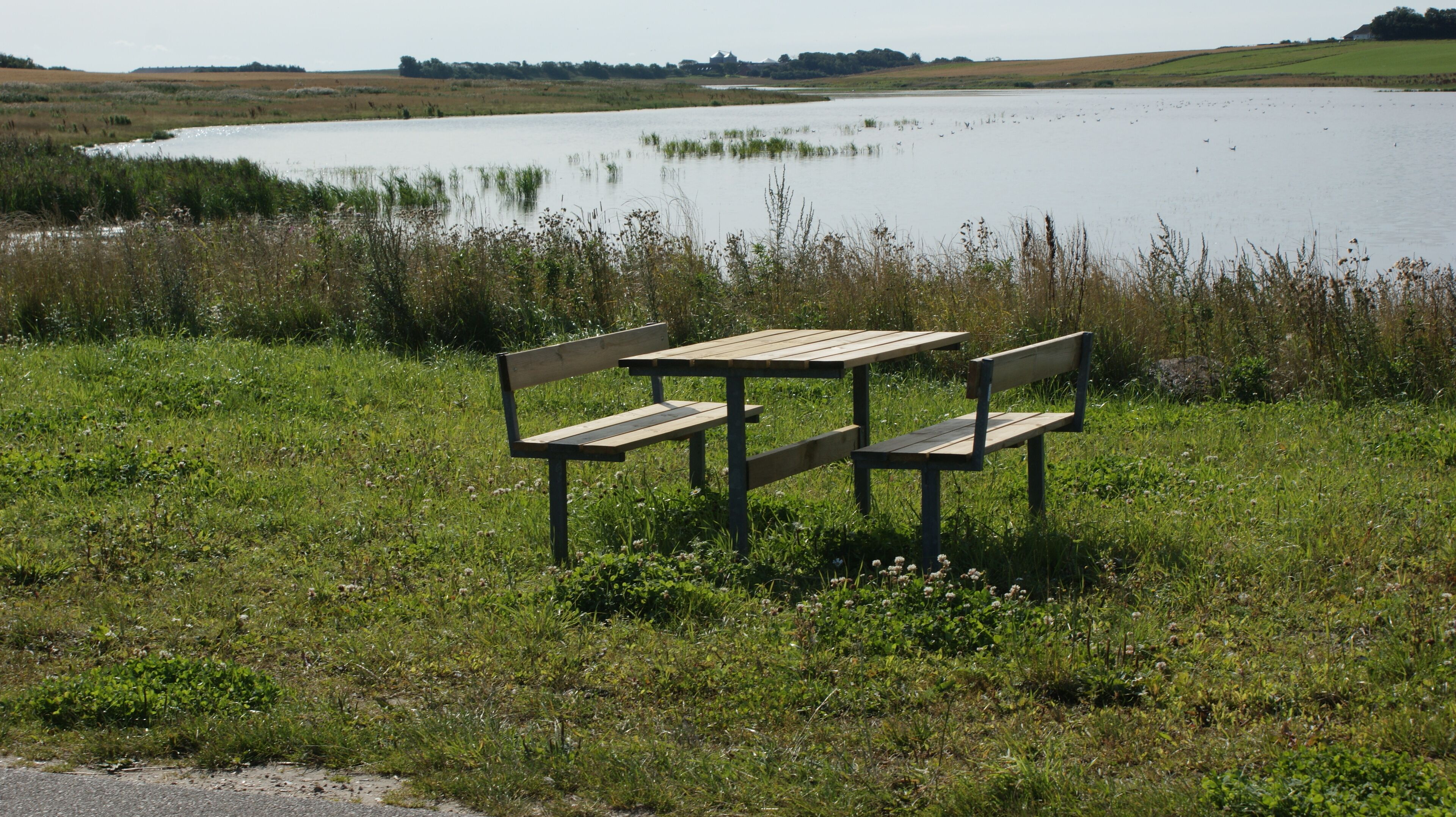 Um banco e uma mesa para piquenique numa área gramada, com um lago ao fundo.
