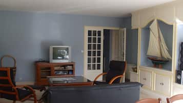 Smart TV, chimenea, reproductor de DVD, libros