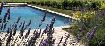 CHARMING  HOUSE WITH SUPERB SWIMMING POOL NEAR THE GRAND COLOMBIER.