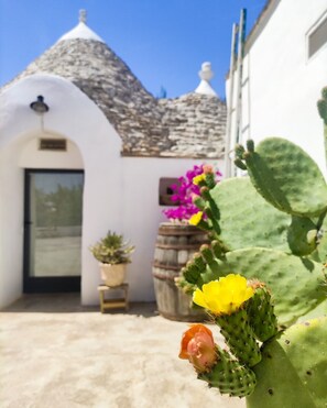 Exterior detail - Trullo Rora - Ostuni (OSTUNI)