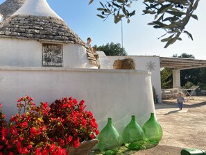 Terrasse/patio
