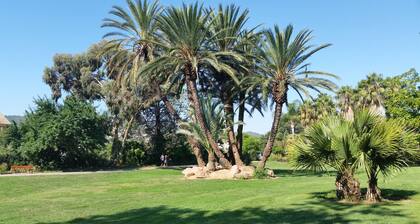 TrĂšs bel appartement T3 spacieux et lumineux tout confort (terrasse 25m2)