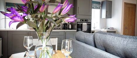 Smart TV, DVD player, books, video library