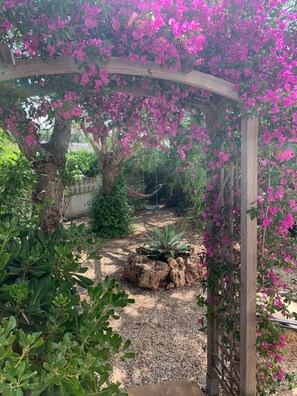 Property grounds - 3Bed, 2Bath villa within walking distance to beach, bars, shops and restaurants  (Teulada)