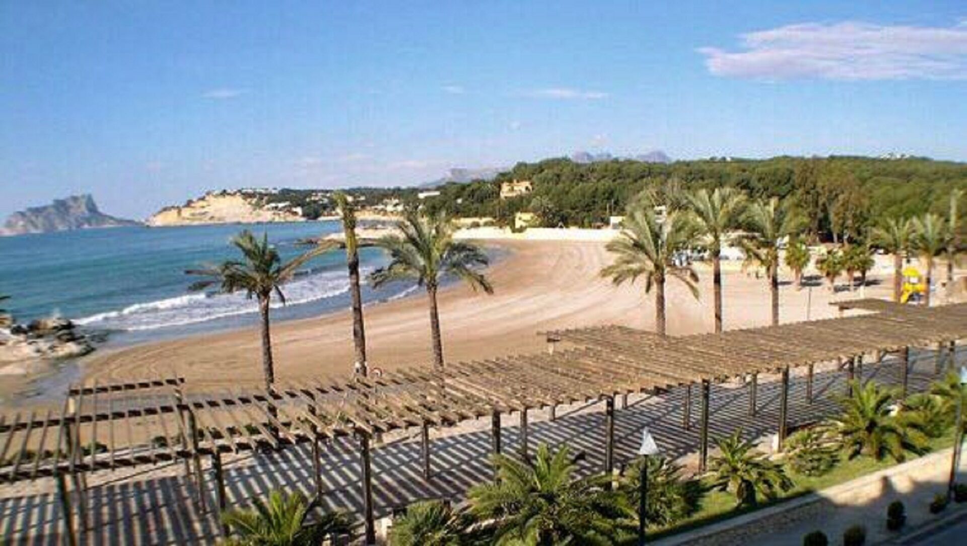 A beach with palm trees, a sandy shore, and a view of the sea.