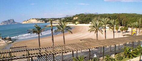 A beach with palm trees, a sandy shore, and a view of the sea.