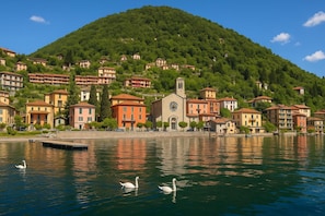 A lakeside town with buildings, a church, and swans on the water.