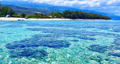 Tropical house, pool & paddle, near the beach! Classified 5* Accessible PMR