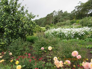 Overnatningsstedets område