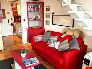 Smart TV, DVD player, books