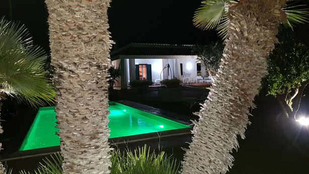 Une piscine éclairée de lumière verte, entourée de palmiers, et un bâtiment dont l’entrée est illuminée, visible au fond.
