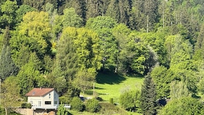 Ein eingeschossiges Haus, umgeben von dichtem Wald, mit freiem Blick auf die umliegende Grünfläche und eine hügelige Landschaft.