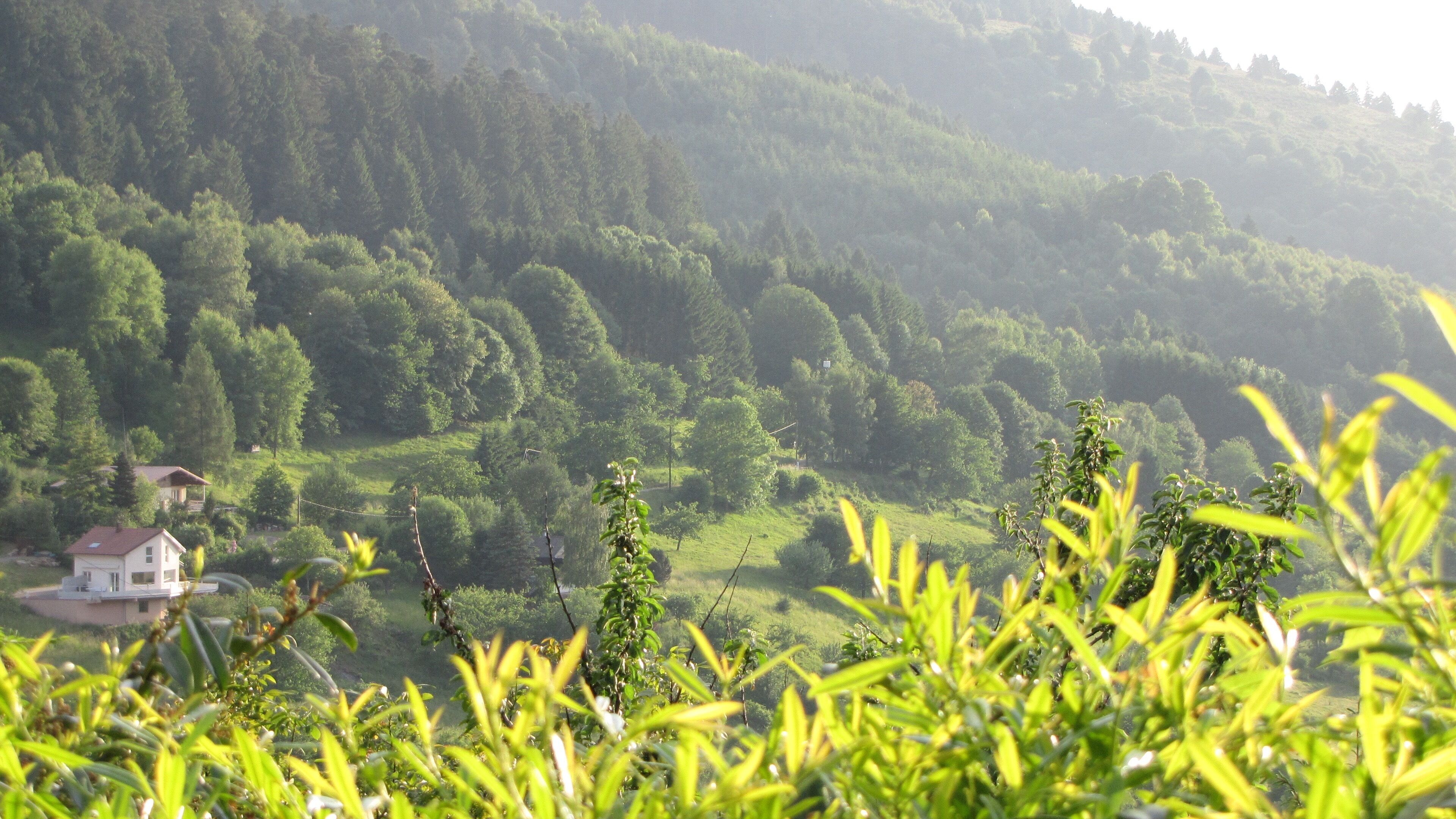 A house surrounded by lush greenery and hills.