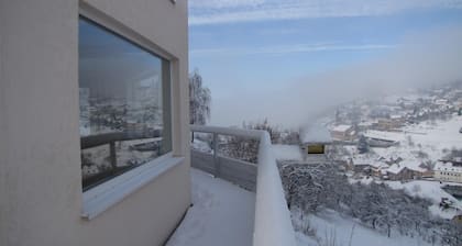 Vue magnifique et panoramique, emplacement idéal pour explorer l'Alsace