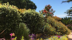 Een tuinpad omzoomd met diverse bloeiende planten en struiken.