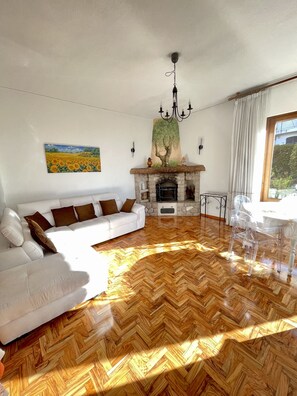 Televisión, chimenea, libros