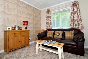 Télévision, lecteur de DVD, livres, vidéothèque