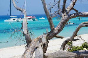 A beach with boats and a tree in the foreground.