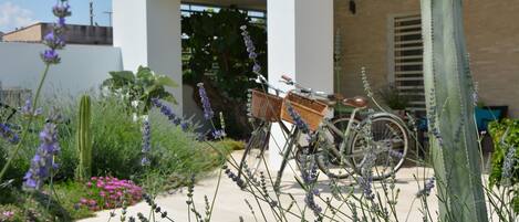 A garden with a bicycle, a cactus, and lavender plants.