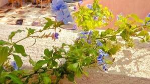 Un patio soleado con un arco de piedra, mobiliario exterior y diversas plantas.