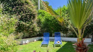 Two blue lounge chairs in a garden with various plants and a palm tree.