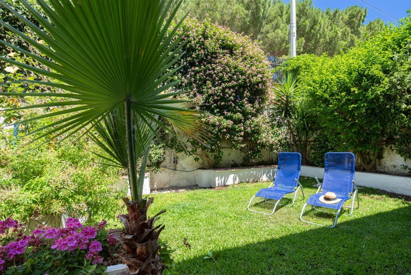 Un jardin avec un palmier, un arbuste aux fleurs roses et deux fauteuils bleus.