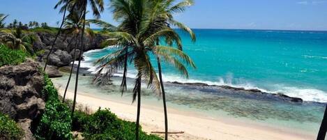 Tumbonas y toallas de playa