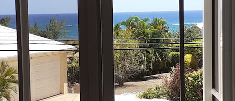 A view through a window of a garage and a garden with tropical plants and a clear blue sky.