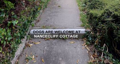 Hundefreundliche freistehende Nancecliff Cottage-umzäunten Garten und Meerblick-Cornwall