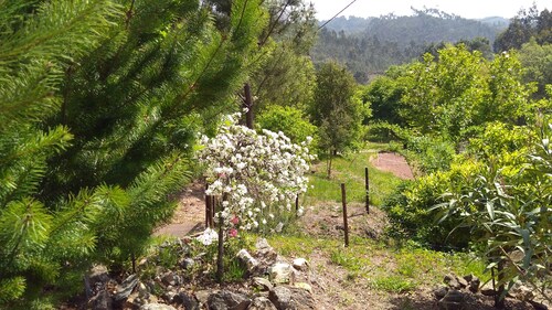  House Milhariça, Figueiro dos Vinhos