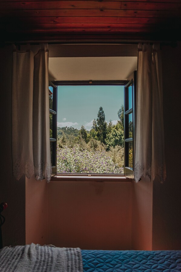 3 habitaciones, tabla de planchar con plancha, wifi y ropa de cama 