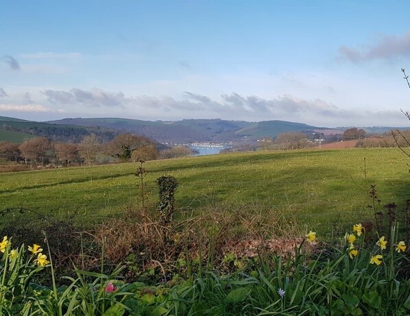 A rural landscape with a field, trees, and a distant body of water. - COMFORTABLE COUNTRY CHALET, NEAR DARTMOUTH, DEVON (Dartmouth)