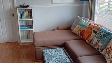 TV, fireplace, DVD player, books