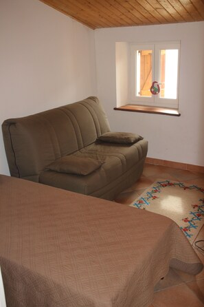 TV, fireplace, DVD player, books