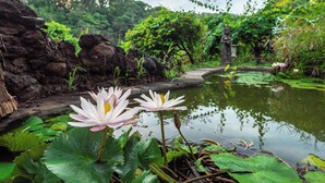 A pond with water lilies and a statue in a lush garden setting.