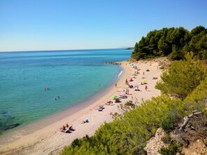Ein Strand mit klarem türkisblauem Wasser, Sandstrand und grünen Kiefern.