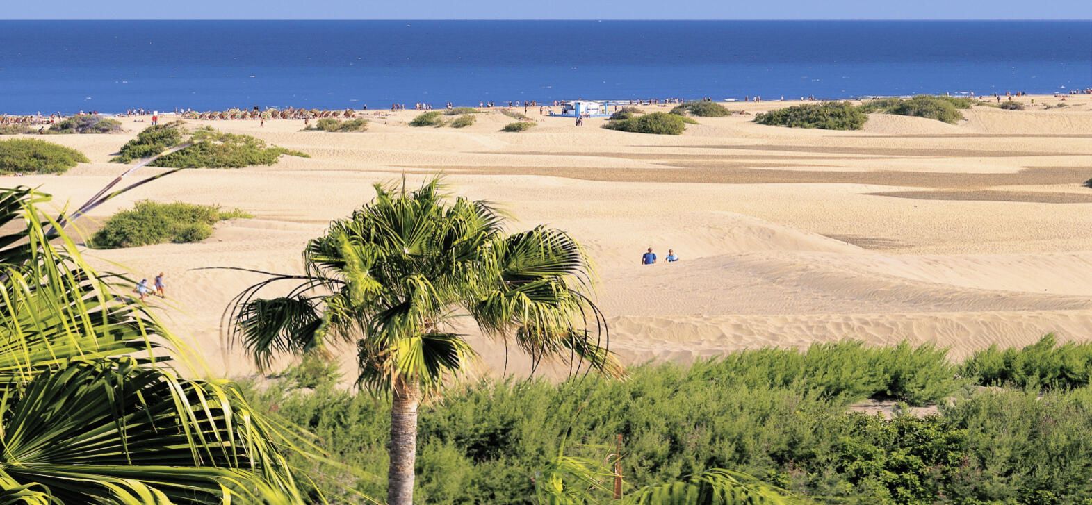 Eine Küstenlandschaft mit Dünen, einem Strand und blauem Himmel.