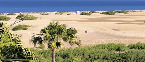 Eine Küstenlandschaft mit Dünen, einem Strand und blauem Himmel.