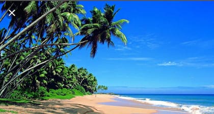 AMA VILLA NEGOMBO WITH PRIVATE GARDEN