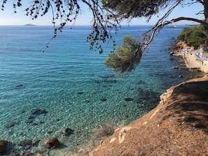 Vista costera con agua azul cristalina, costa rocosa y una rama de árbol sobresaliendo.